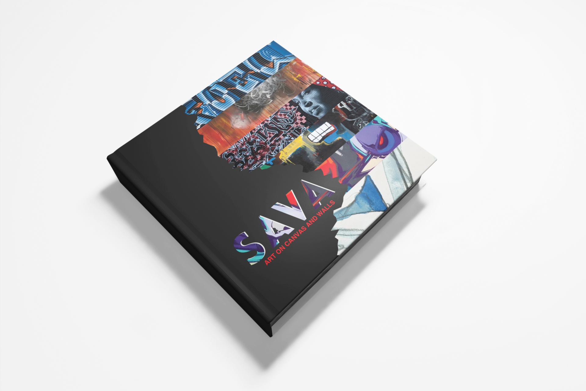 SAVA: Art on Canvas & Walls